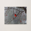 Search for cardinal puzzles Winter