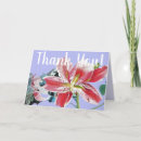 Search for red lily thank you cards For her
