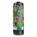 Search for lorikeet bird mugs Colourful