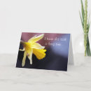 Search for mail cards Snail