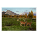 Search for peoples art Wildlife