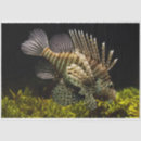 Search for saltwater fish crafts party Aquarium