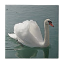 Search for swan tiles White