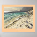Search for flotsam Beach