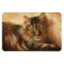 Search for pillow magnets Cat