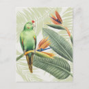 Search for bird postcards Flower