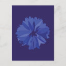 Search for cornflower blue postcards Floral
