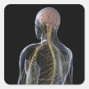 Search for human body part stickers Healthcare and medicine