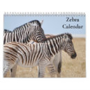 Search for zebra calendars 2025