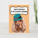 Search for cocker spaniel cards From the dog