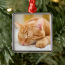 Search for domestic christmas tree decorations Orange cat