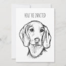Search for small black dog invitations For pets