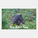 Search for black pony stickers Horses