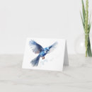 Search for magnificence cards Bird
