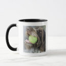 Search for dog with ball mugs Outdoors