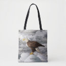 Search for bald bags Animal