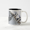 Search for greenland mugs Photography