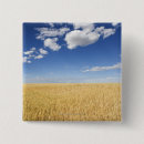 Search for wheat badges Harvesting