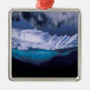 Search for crystal christmas tree decorations Nature