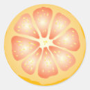 Search for grapefruit stickers Cute