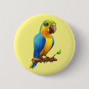 Search for parrot badges Cute