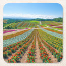 Search for farming coasters Nature