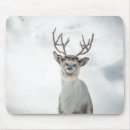 Search for rudolph electronics Reindeer