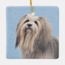 Search for havanese christmas tree decorations Bichon havanais