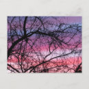 Search for autumn trees postcards Purple