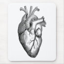 Search for for cardiologists electronics Doctor