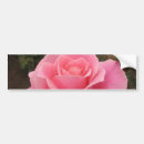 Search for rose bumper stickers Valentine