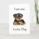 Search for wishes for brother birthday cards Veterinarian