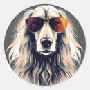 Search for hound round stickers Pet