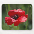 Search for single mousepads Poppy