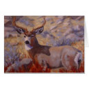Search for buck mule deer postcards Animal