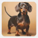 Search for doxy stickers Dachshund