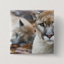 Search for cat tail badges Animal