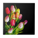 Search for holland tiles Red