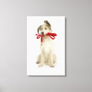 Search for studios pet supplies Friendship
