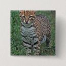 Search for species badges Wildlife