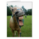 Search for laughing horse postcards Silly