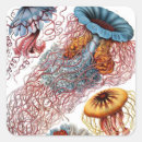 Search for jellyfish stickers Tentacles
