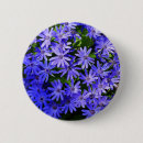 Search for daisy picture badges Photography