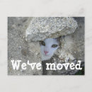 Search for cat lady invitations Funny
