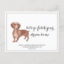 Search for wiener postcards Puppy