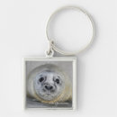 Search for pups key rings Marine life