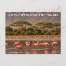 Search for tanzania postcards Travel