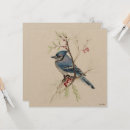 Search for blue jay cards Watercolor