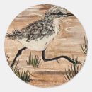 Search for sandpipers stickers Waves