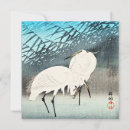 Search for reeds cards Animal